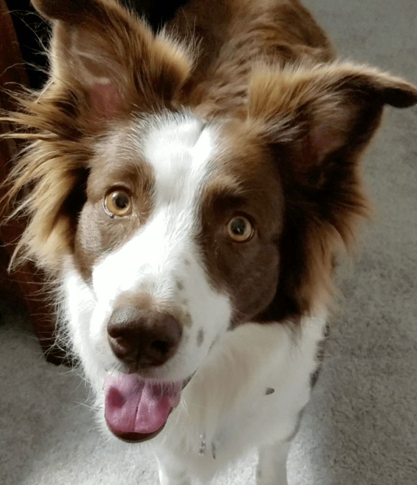 Screen Shot 2017-03-27 at 10.18.48 PM.png