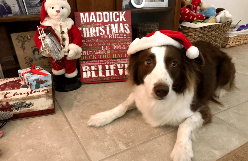 Screen Shot 2018-12-21 at 8.27.58 PM.png